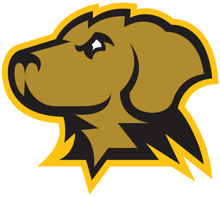 UMBC Retrievers 2010-Pres Partial Logo diy iron on heat transfer